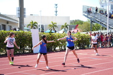 Enlarge photo 1338