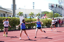 Enlarge photo 1339
