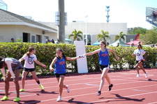 Enlarge photo 1342