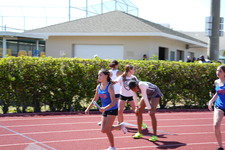 Enlarge photo 1347
