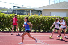 Enlarge photo 1351