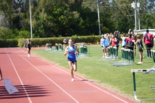 Enlarge photo 1426