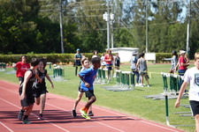 Enlarge photo 1491