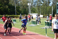 Enlarge photo 1493