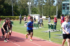 Enlarge photo 1496