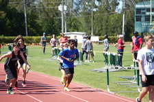 Enlarge photo 1498