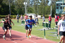 Enlarge photo 1499