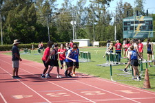 Enlarge photo 1528