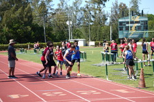 Enlarge photo 1532