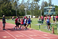 Enlarge photo 1531