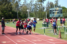 Enlarge photo 1535