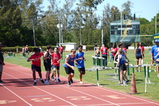 Enlarge photo 1537