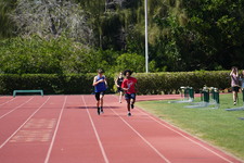 Enlarge photo 1577