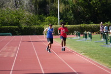 Enlarge photo 1590
