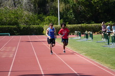 Enlarge photo 1592