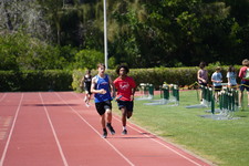 Enlarge photo 1594