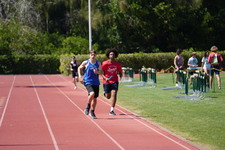 Enlarge photo 1596