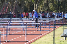 Enlarge photo 33