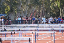 Enlarge photo 49