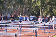 Enlarge photo 133