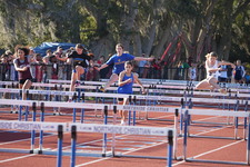 Enlarge photo 137