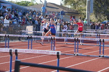 Enlarge photo 186