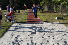 Enlarge photo 215