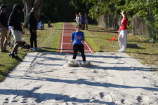 Enlarge photo 241