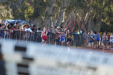 Enlarge photo 248