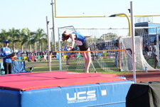 Enlarge photo 312