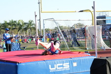 Enlarge photo 319