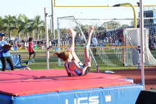 Enlarge photo 395