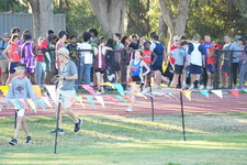 Enlarge photo 450
