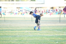Enlarge photo 722