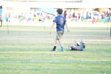 Enlarge photo 732