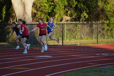 Enlarge photo 511