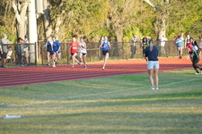 Enlarge photo 524