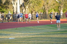 Enlarge photo 528