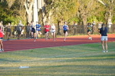 Enlarge photo 530