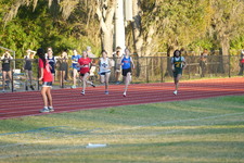 Enlarge photo 534