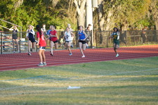 Enlarge photo 538