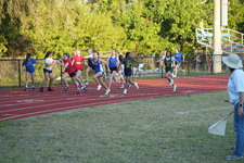Enlarge photo 551