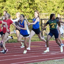 Enlarge photo 553