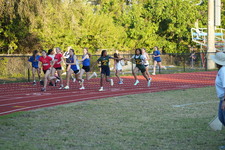 Enlarge photo 555
