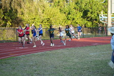 Enlarge photo 557