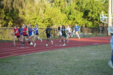 Enlarge photo 556