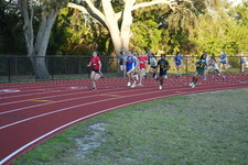 Enlarge photo 561