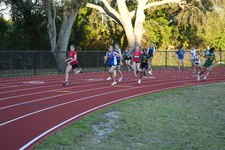 Enlarge photo 564