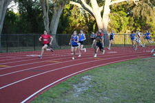 Enlarge photo 566