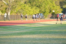 Enlarge photo 593